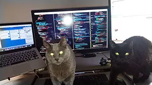 Two cats guarding a desk full of code